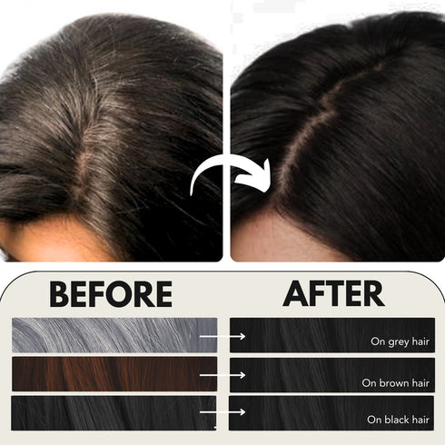 Paradyes Natural Black Timeless Hair Tint
